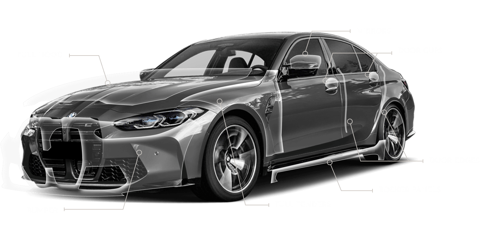 Paint Protection Melbourne, FL